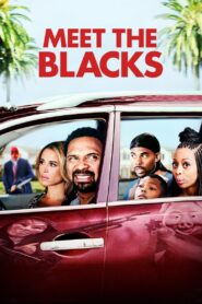 Meet the Blacks 2016 on netflix