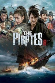 The Pirates 2014 on netflix
