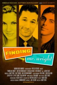 Finding Mr. Wright 2011 on netflix