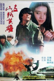 歧路英雄 1994 on netflix