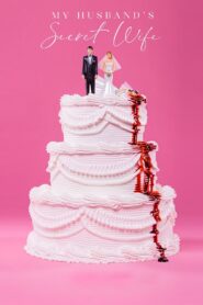 My Husband’s Secret Wife 2018 on netflix