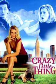 The Perfect You 2002 on netflix