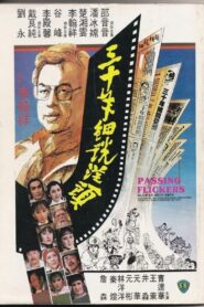 Passing Flickers 1982 on netflix