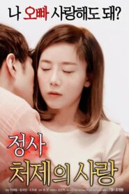 An Affair: My Sister-in-law’s Love 2018 on netflix