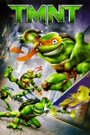 TMNT 2007 on netflix