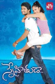 Snehituda 2009 on netflix