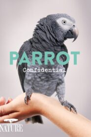 Parrot Confidential 2013 on netflix