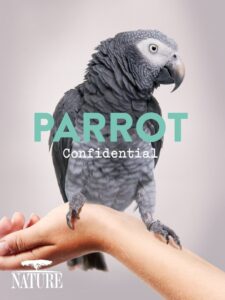 Parrot Confidential 2013 on netflix