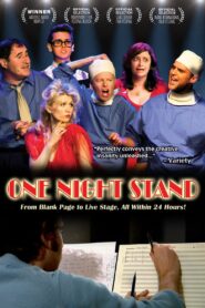 One Night Stand 2013 on netflix
