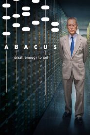 Abacus: Small Enough to Jail 2017 on netflix