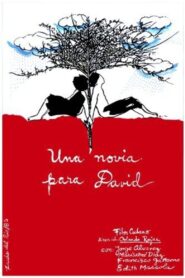 Una novia para David 1987 on netflix