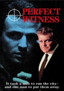 Perfect Witness 1989 on netflix