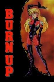 Burn Up 1991 on netflix