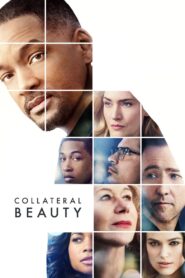 Collateral Beauty 2016 on netflix