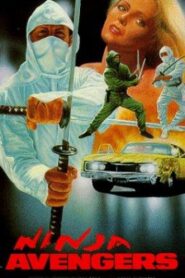 Ninja Avengers 1987 on netflix