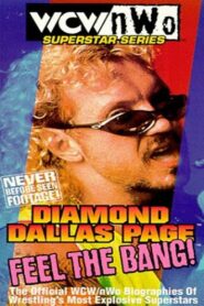 WCW/NWO Superstar Series: Diamond Dallas Page – Feel the Bang! 1999 on netflix