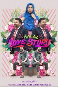 Halal Love Story 2020 on netflix