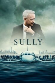 Sully 2016 on netflix