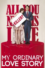 My Ordinary Love Story 2014 on netflix