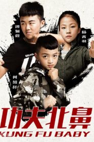 Kung Fu Baby 2018 on netflix