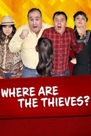 En dónde están los ladrones? 2017 on netflix