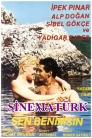 Sen Benimsin 1988 on netflix