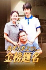 高考万岁之金榜题名 2024 on netflix
