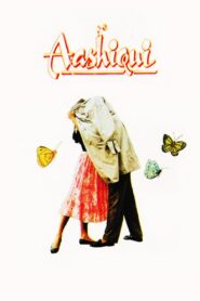 Aashiqui 1990 on netflix
