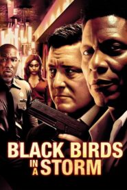 Black Birds in a Storm 2023 on netflix