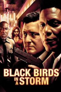 Black Birds in a Storm 2023 on netflix