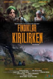 Fındıklar Kırılırken 2018 on netflix