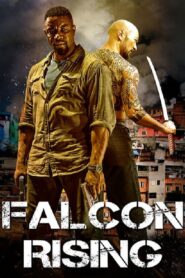 Falcon Rising 2014 on netflix