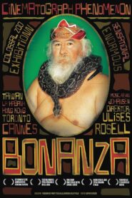 Bonanza 2001 on netflix