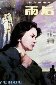 雨后 1982 on netflix