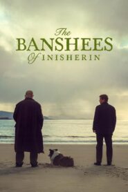 The Banshees of Inisherin 2022 on netflix