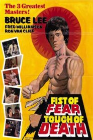 Fist of Fear, Touch of Death 1980 on netflix