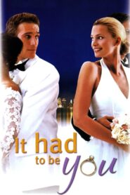 It Had to Be You 2000 on netflix
