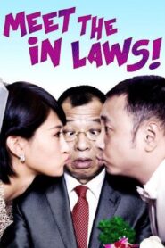 Meet the In Laws 2012 on netflix