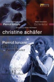 One Night, One Life 2002 on netflix