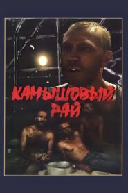 Reed Paradise 1989 on netflix