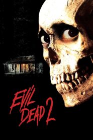 Evil Dead II 1987 on netflix