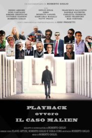 Playback – Il caso Malien 2016 on netflix