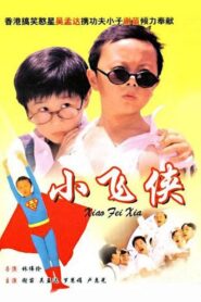 Teenage Master 1995 on netflix