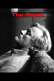 The Room 2001 on netflix