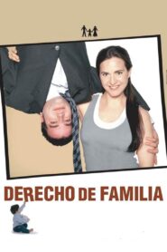 Family Law 2006 on netflix