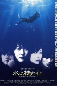 Romance Of Darkness 2006 on netflix