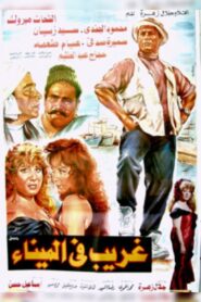 غريب فى الميناء 1995 on netflix
