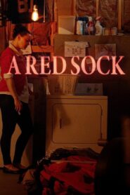 A Red Sock 2020 on netflix