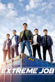 Extreme Job 2019 on netflix