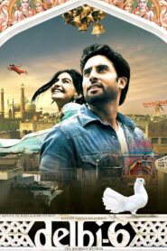 Delhi-6 2009 on netflix